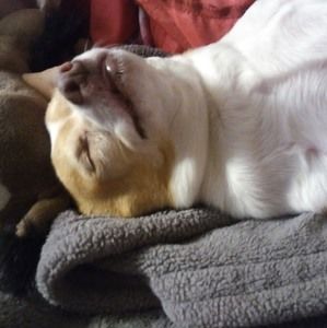 Meet your Posher, Marie